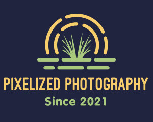 Wild Grass Sunset logo design