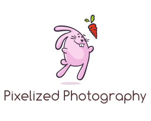 Cartoon Rabbit Carrot logo design