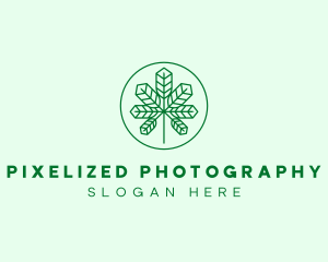 Geometric Cannabis Marijuana Leaf logo design