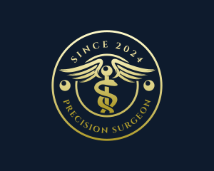 Medical Caduceus Pharmacy logo design