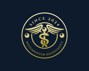 Medical Caduceus Pharmacy logo design