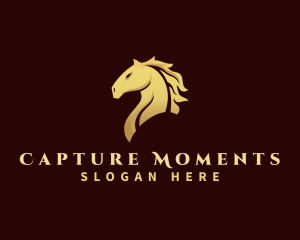 Equine Premium Horse  Logo