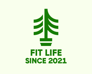 Green Pine Tree Plant logo