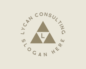 Triangle Consulting Agency logo design