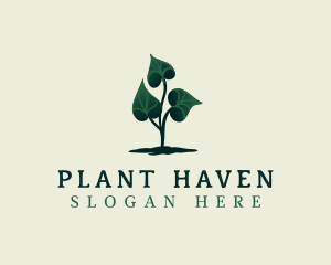 Eco Plant Leaves logo design