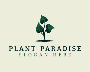 Eco Plant Leaves logo design