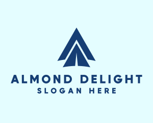 Blue Paper Airplane  logo design