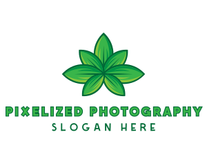 Green Cannabis Weed Leaf logo design