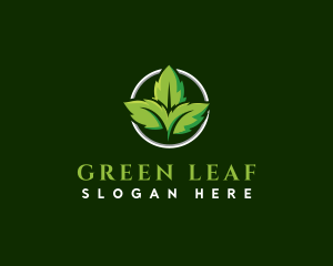 Herb Leaf Plant logo design