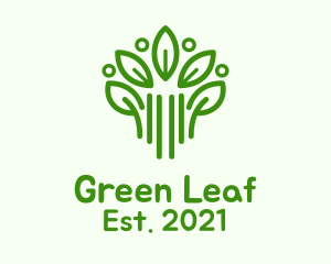 Green Botanical Plant logo design