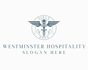 Medical Caduceus Hospital logo design