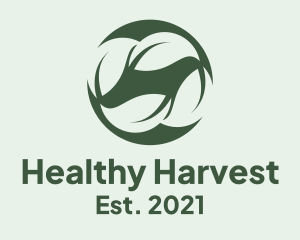 Healthy Leaf Drink logo design