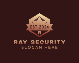 Security Company Shield  logo design