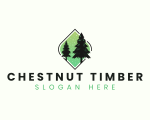 Eco Pine Tree Forestry logo design