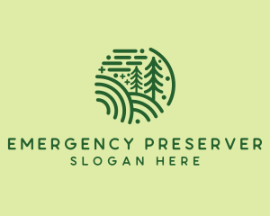 Nature Pine Forest  logo design