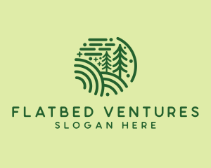 Nature Pine Forest  logo design