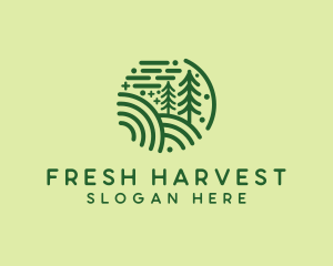 Nature Pine Forest  logo design