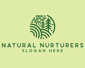 Nature Pine Forest  logo design