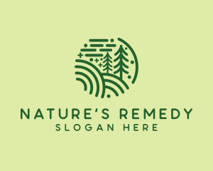 Nature Pine Forest  logo design