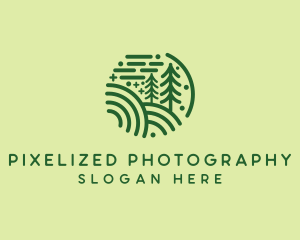 Nature Pine Forest  logo design