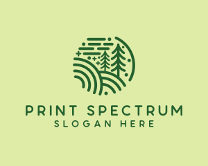 Nature Pine Forest  logo design