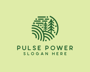 Nature Pine Forest  logo design