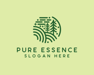 Nature Pine Forest  logo design