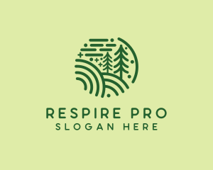 Nature Pine Forest  logo design