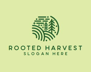 Nature Pine Forest  logo design