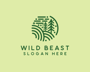 Nature Pine Forest  logo design