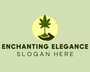 Marijuana Plant Seedling  Logo