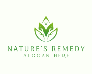 Eco leaves Farming logo design