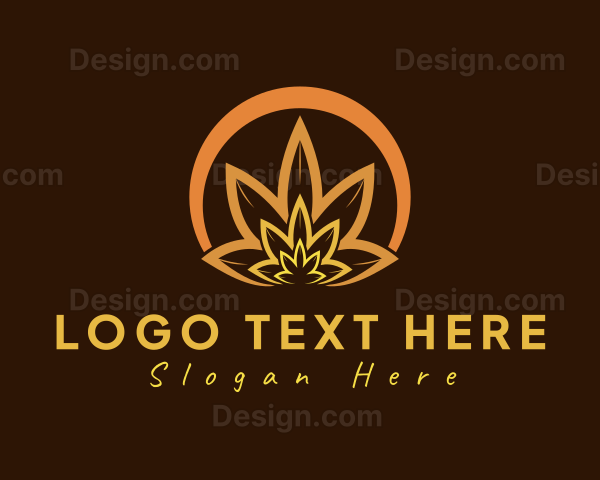 Organic Orange Herb Logo