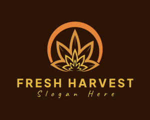 Organic Orange Herb logo design