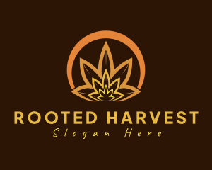 Organic Orange Herb logo design