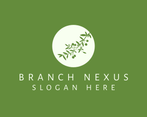 Green Olive Branch logo
