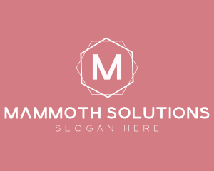 Minimalist Boutique Hexagon logo design