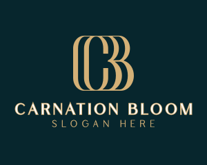 Elegant Professional Letter CB logo design