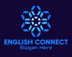 Hexagon Radial Network logo design