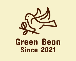 Dove Bean Branch  logo design