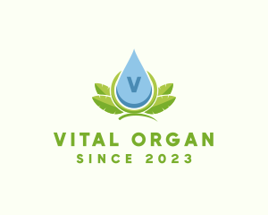 Organic Natural Liquid Droplet  logo design