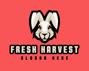 Wild Hare Rabbit logo design