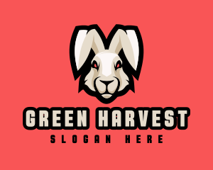 Wild Hare Rabbit logo design