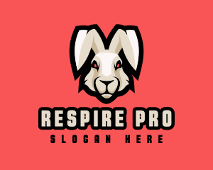 Wild Hare Rabbit logo design