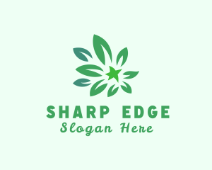 Green Natural Leaves Logo