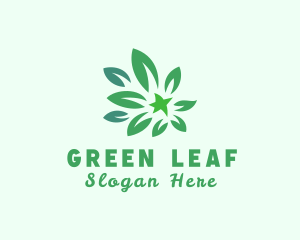 Green Natural Leaves logo design