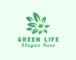 Green Natural Leaves logo design