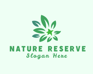 Green Natural Leaves logo design