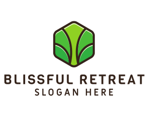 Organic Leaf Spa logo design