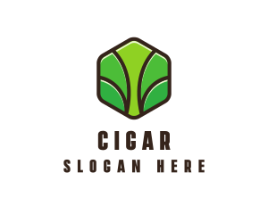 Organic Leaf Spa logo design